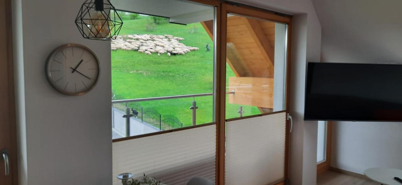Apartamenty Bachledzki Wierch Zakopane Extérieur photo
